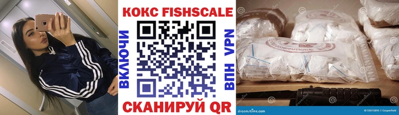Кокаин FishScale  Купить закладки  Коркино 