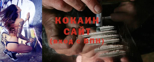 мет Алексин