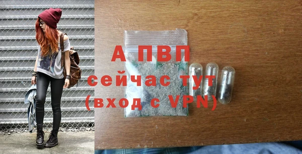 мет Алексин