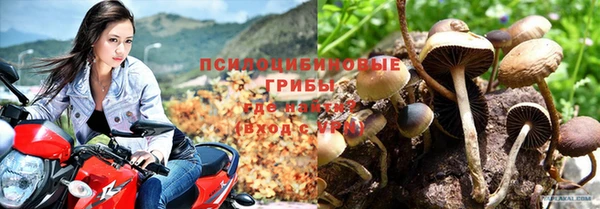 мет Алексин