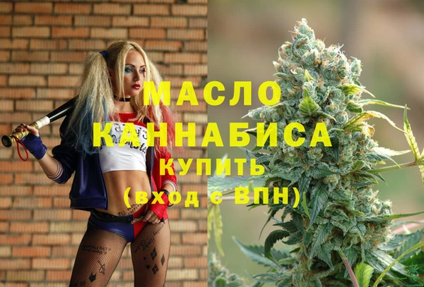мет Алексин