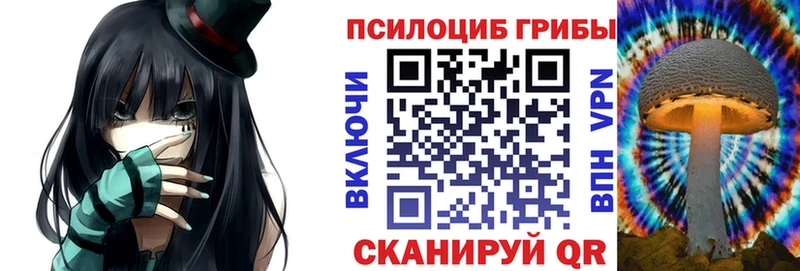 Галлюциногенные грибы Psilocybe  Купить  Коркино 